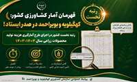 کهگیلویه و بویراحمد رتبه نخست کشور در اجرای طرح آمارگیری هزینه تولید محصولات زراعی سال ۱۴۰۳-۱۴۰۴
